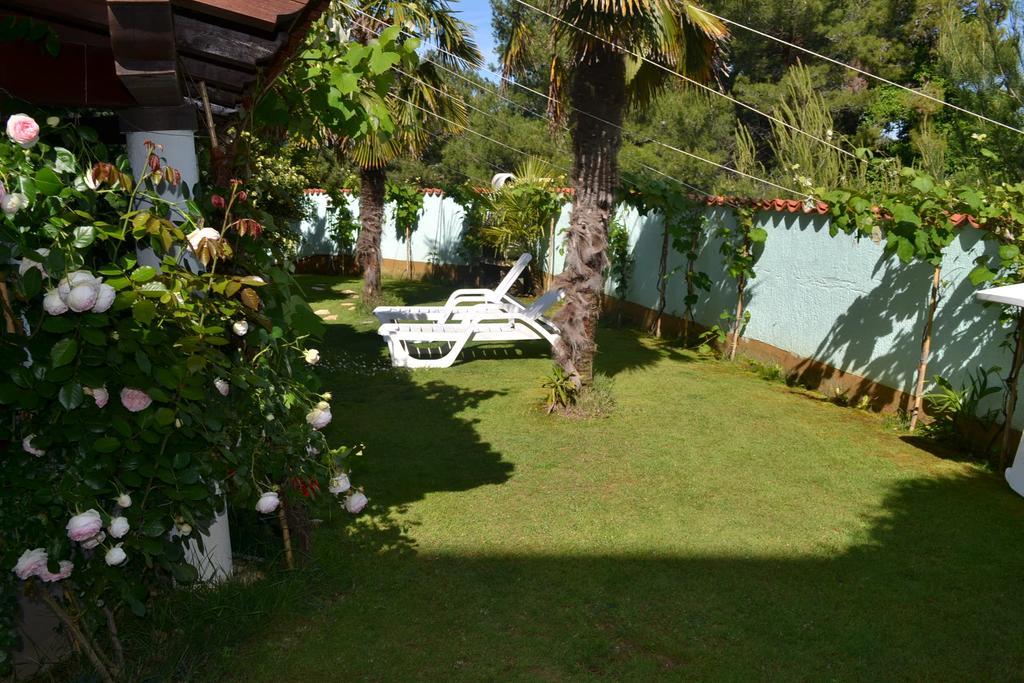 Villa Verde Apartments And Rooms Premantura Camera foto