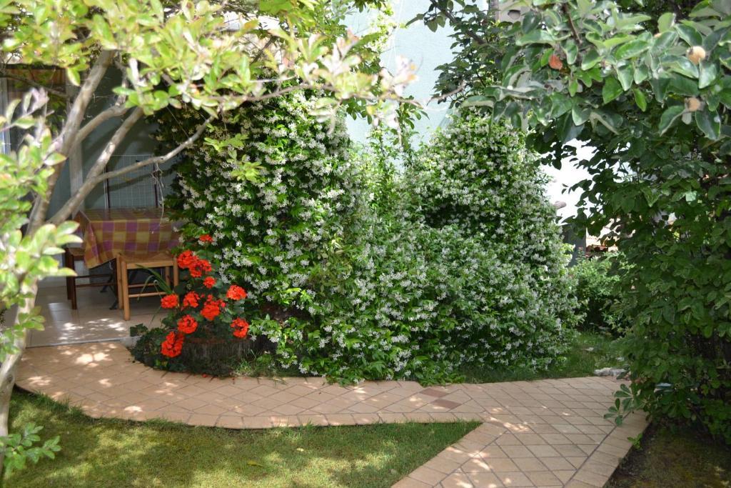 Villa Verde Apartments And Rooms Premantura Camera foto